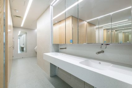 Clutter free vanity and mirror units