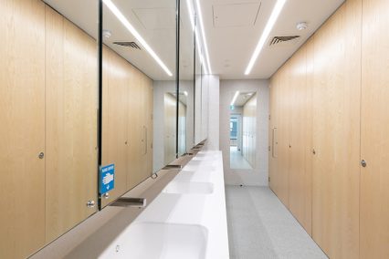 Solid surface vanity units