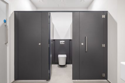 Graphite grey cubicles doors & paneling