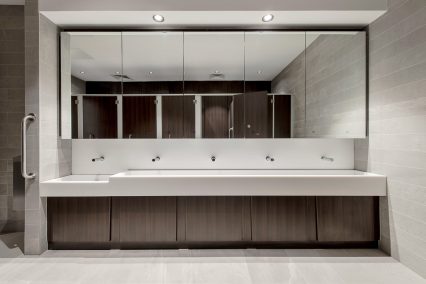 Mirror Housing Unit